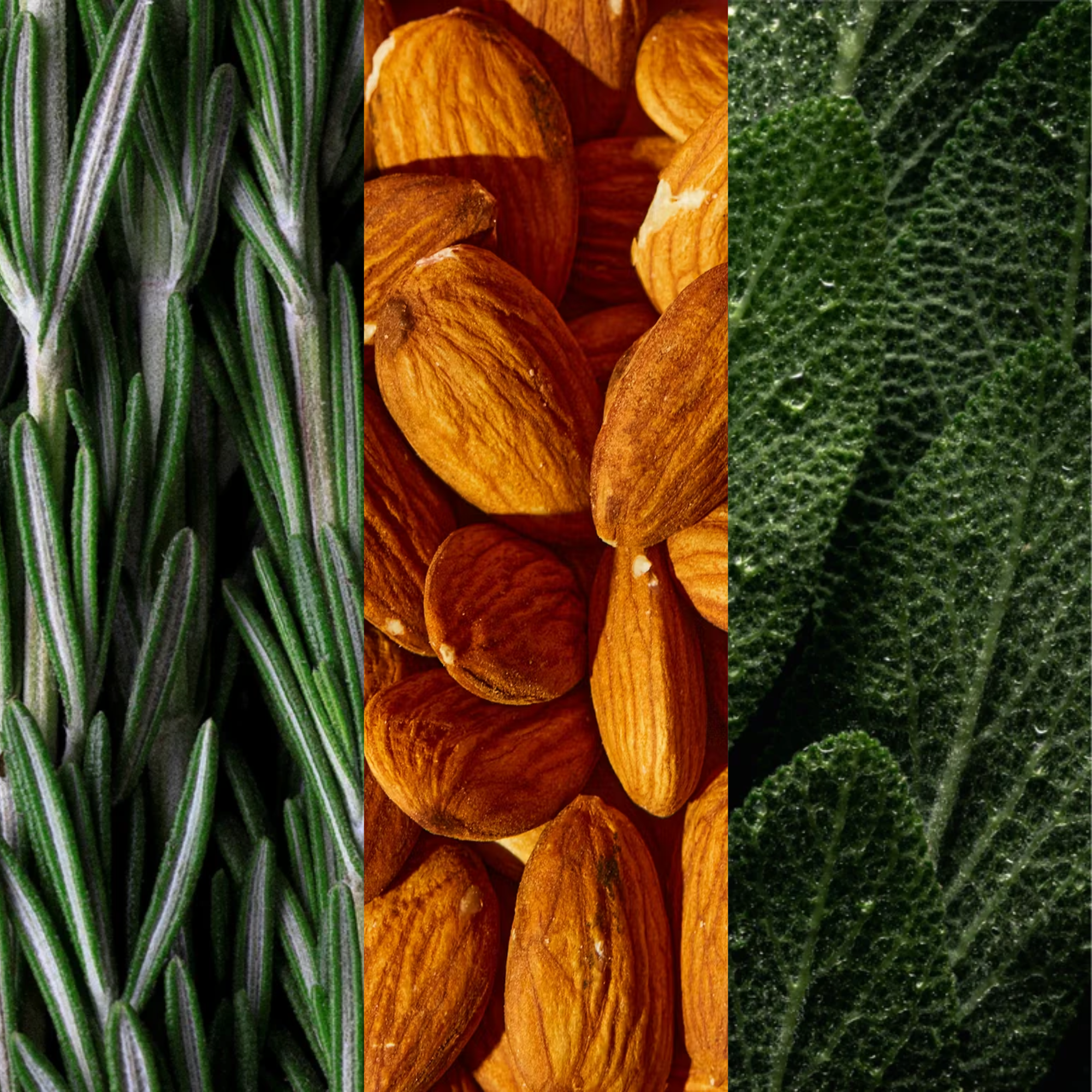 Rosemary Hair & Scalp Strengthening Oil